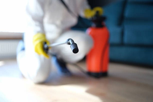 Best Water Damage & Mold Remediation  in Warminster Heights, PA