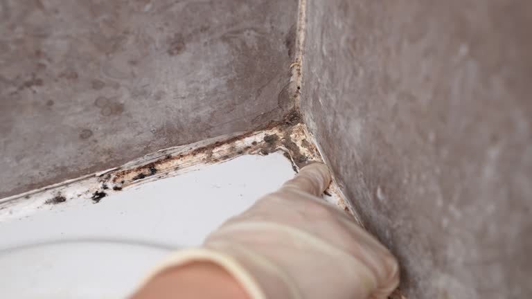 Best Indoor Air Quality Assessment  in Warminster Heights, PA